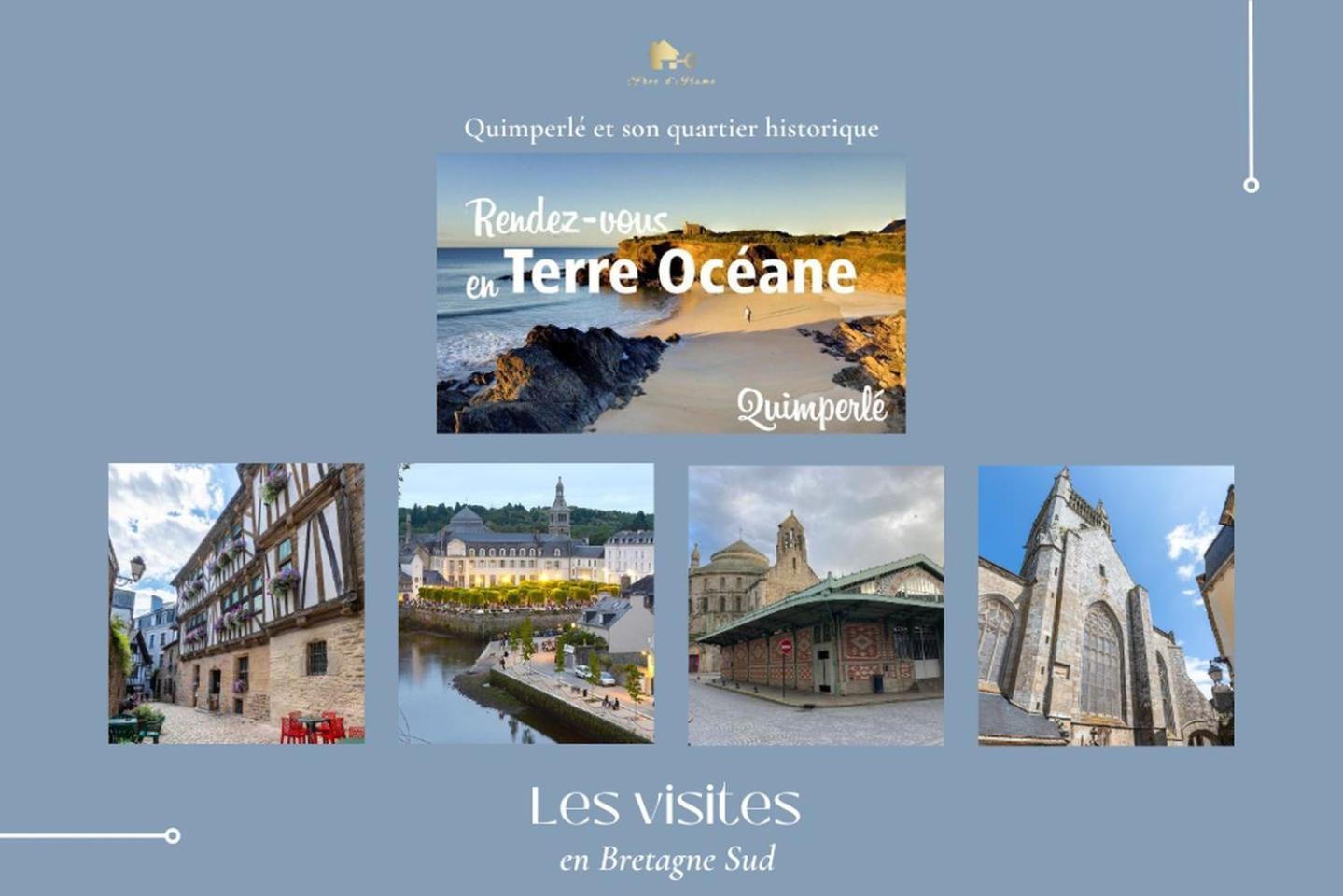 Le Belaven, Neuf, Cosy, Terrasse, Jardin, Kerfany Plage, 1 A 6 Pers Moëlan-sur-Mer エクステリア 写真