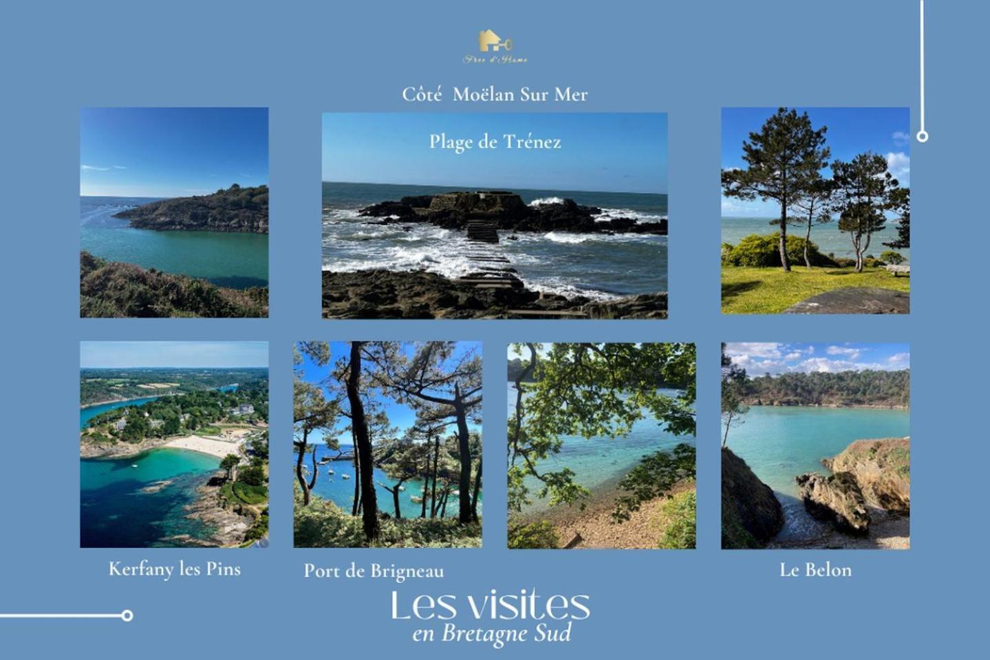 Le Belaven, Neuf, Cosy, Terrasse, Jardin, Kerfany Plage, 1 A 6 Pers Moëlan-sur-Mer エクステリア 写真